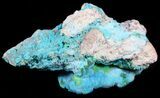 Turquoise, Botryoidal Chrysocolla - Congo #54987-1